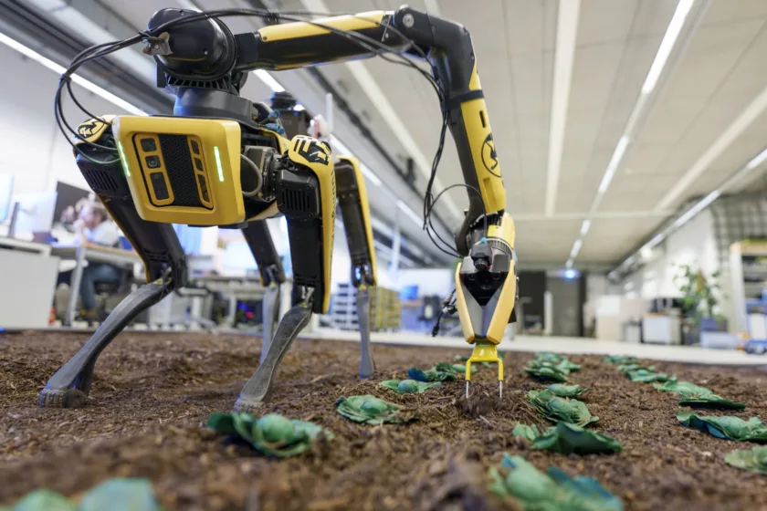 Roboter im Gewächshaus
