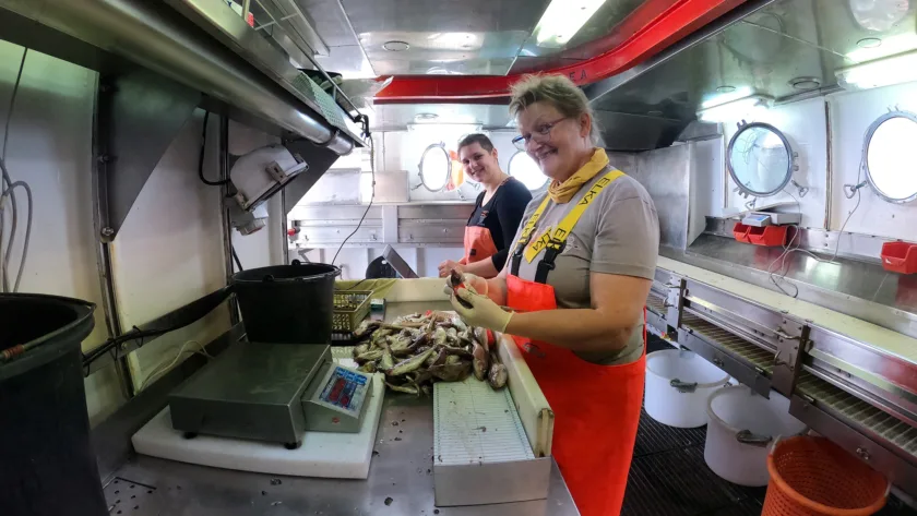 Zwei Personen bearbeiten Fischproben in einer Art Kombüse